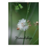 Friendship Card