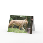 Friendship Card #2