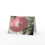 Friendship Card: Delicate Poppy