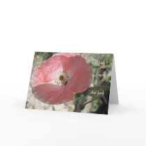 Friendship Card: Delicate Poppy