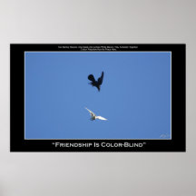 FRIENDSHIP IS COLOR-BLIND ~ Photo Poster