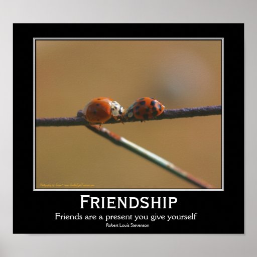 Friendship Ladybugs Motivational Quote Poster