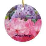 Friendship! ornament Pink Rhodies Holiday ornament