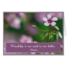 Friendship - Pink Wood Sorrel Greeting Card