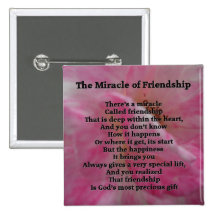 Friendship Poem Pin