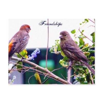 Friendship_Postcard by ELENNE