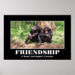 Friendship... Poster
