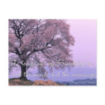 Friendship Quote 1 - Cherry Blossom Tree Postcards