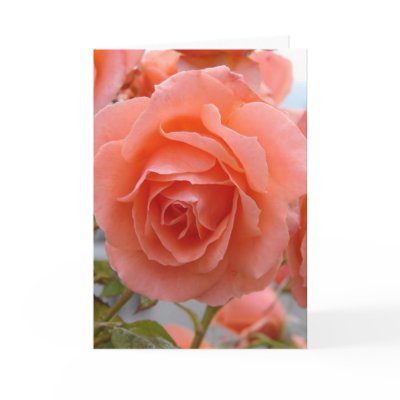 Friendship Rose Greeting Card by Killlashandra