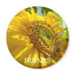 Friendship SUN FLOWERS SUNFLOWER MAGNETS Gifts