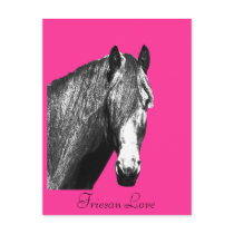 Friesan Love, Postcard