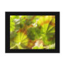 'Friesdorf' - Geranium leaves Postcards