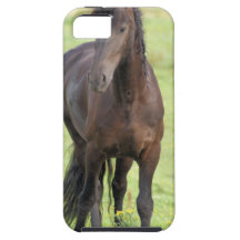 friesian-10.jpg iPhone 5 cover