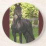 Friesian Coaster 9