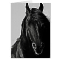 Friesian Horse profile Cards