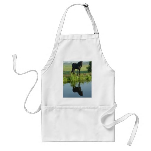 Friesian Horse Reflection in water Aprons