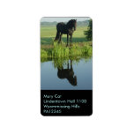 Friesian Horse Reflection in water Personalized Address Label