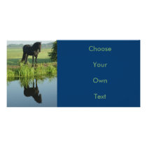 Friesian Horse Reflection in water