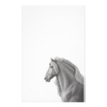 Friesian Horse Stationery