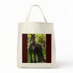 Friesian Painting Tote Bag