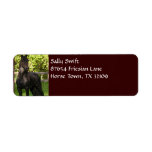 Friesian Painting Return Address Labels