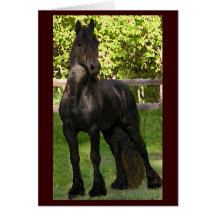 Friesian Painting Notecards