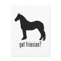 Friesian Post Card
