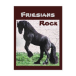 Friesians Rock Postcards