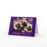 Frilly Pansies! Easter Card (flora photography)