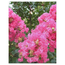 Frilly Pink Flowers Letterhead Design