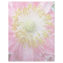 Frilly Pink Poppy