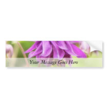 Frilly Purple Aquilegia (Columbine)