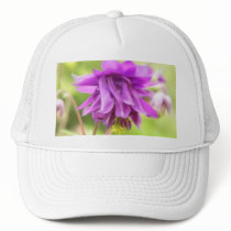 Frilly Purple Aquilegia (Columbine)