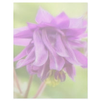 Frilly Purple Aquilegia (Columbine)