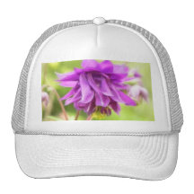 Frilly Purple Aquilegia (Columbine) Mesh Hats