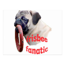 Frisbee Fanatic Postcard