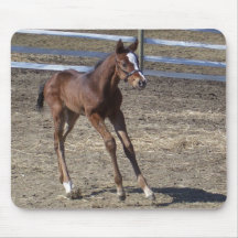 Frisky Filly Mousepad