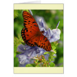 Fritillary Butterfly, Blue FLowers Greeting Cards