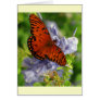 Fritillary Butterfly, Blue FLowers Greeting Cards