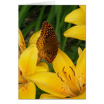 Fritillary Butterfly on Yellow Lily Card