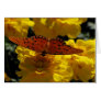 Fritillary butterfly, Yellow Geraniums Cards