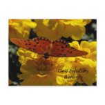 Fritillary butterfly, Yellow Geraniums Postcards