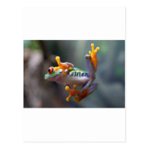 Frog by John Remar Jr. Postcard