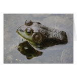 Frog Card