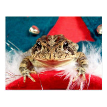 Frog Christmas , Tinsel, feathers, santa pattern Postcard
