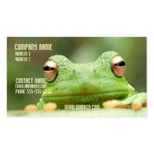 Frog Eyes Business Card