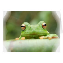 Frog Eyes Greeting Card