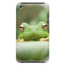 Frog Eyes iTouch Case iPod Touch Case-Mate Case