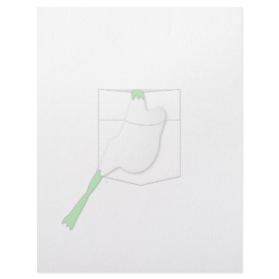 Frog In A White Pocket by mydeas