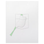Frog In A White Pocket letterhead